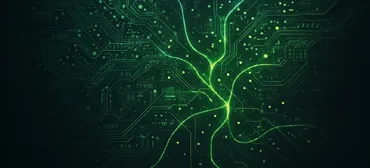 How Government Cyber Cuts Hit Businesses and People