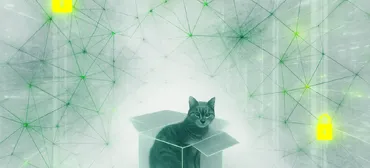 Schrodinger&rsquo;s Cat and the Quantum Breach Reality