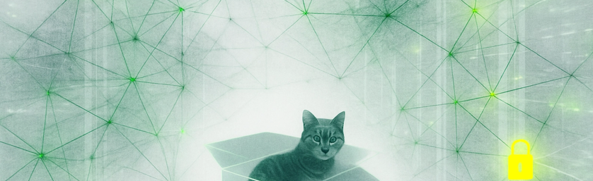 Schrodinger&rsquo;s Cat and the Quantum Breach Reality